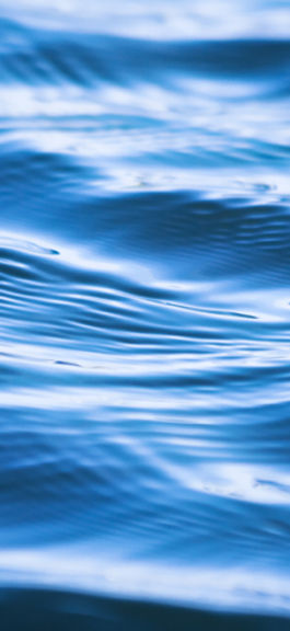 Water Ripples
