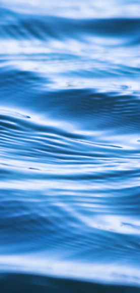 Water Ripples