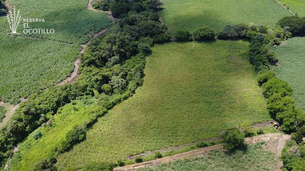 Miniatura: TERRENOS EN VENTA RESERVA EL OCOTILLO