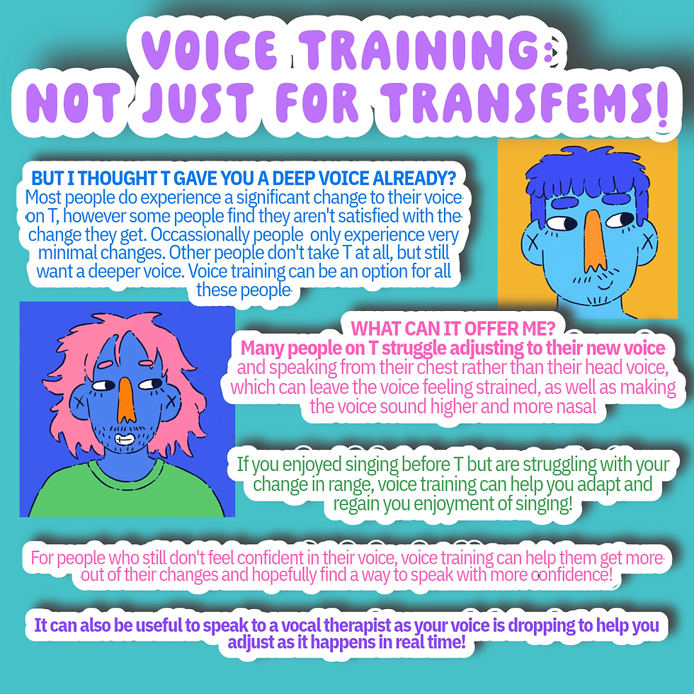 voice training.png