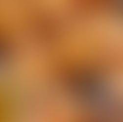 Honey Butter Garlic Rolls