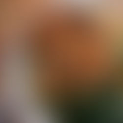 Sauteed Sausage Tortellini