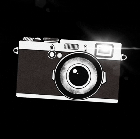 camera flash gif