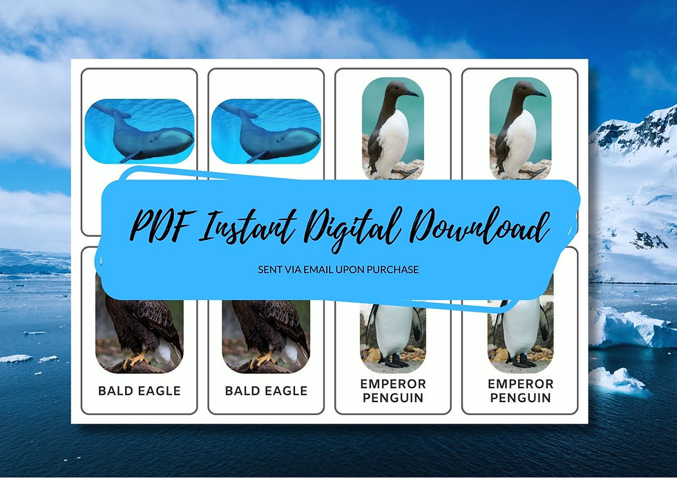 Thumbnail: Arctic Animals Memory Matching Game