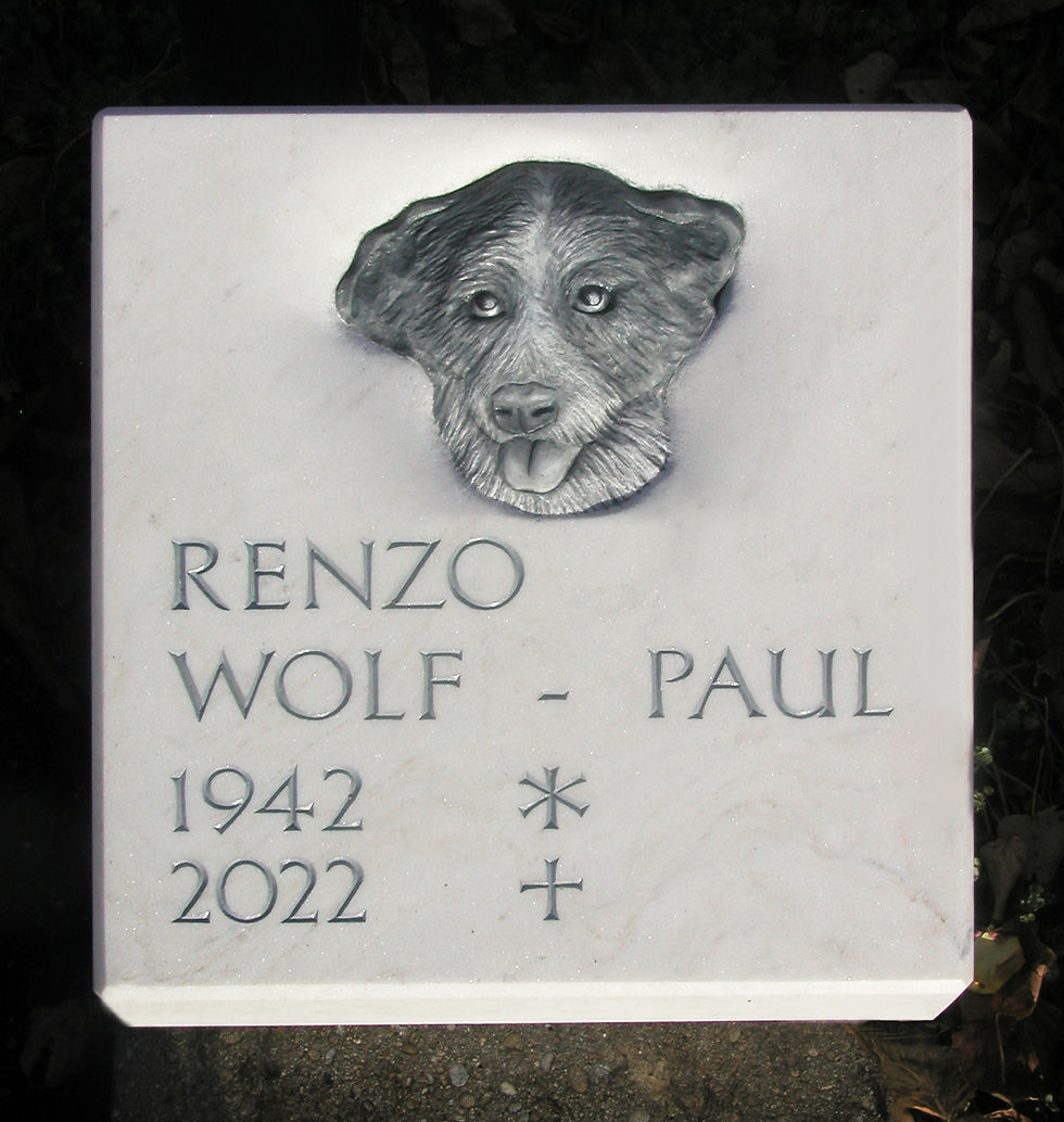 Liegeplatte Friedhof Möhlin