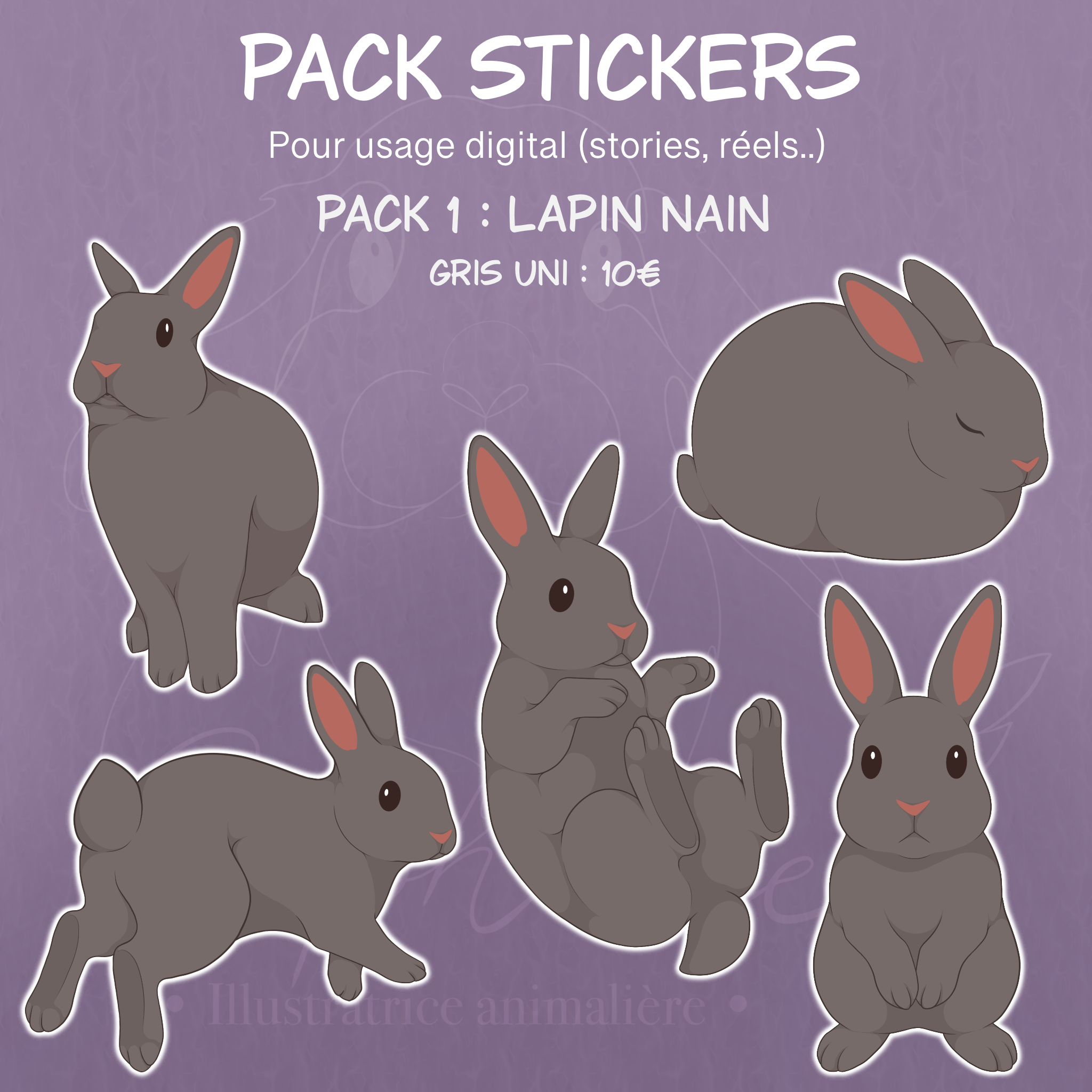 Pack Stickers Lapin Nain 1 - Gris