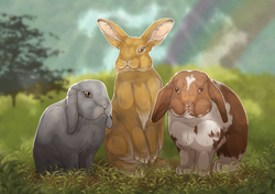 Pinpin Filo Panpan illustration terminée