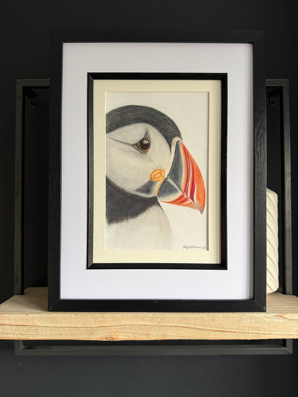 Thumbnail: Billy Puffin