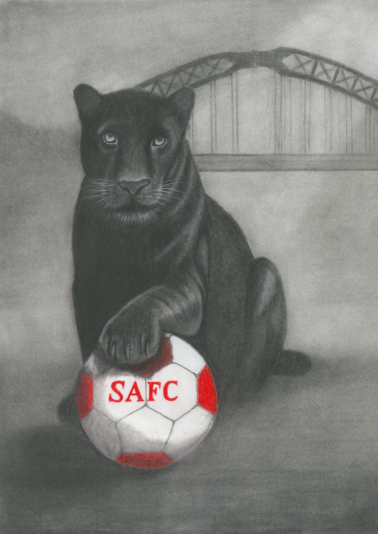 SAFC Black Cat