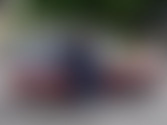 Delta rossa, il ripristino della firma perduta (Parte 2, le foto)