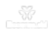 Ecomm.ski_partner_logo