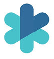 PALMA LOGO_edited_edited.jpg