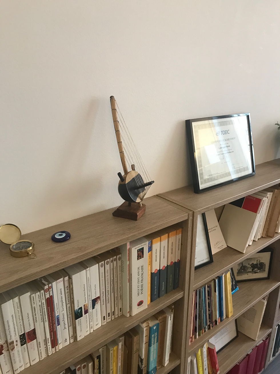 étagère avec livres