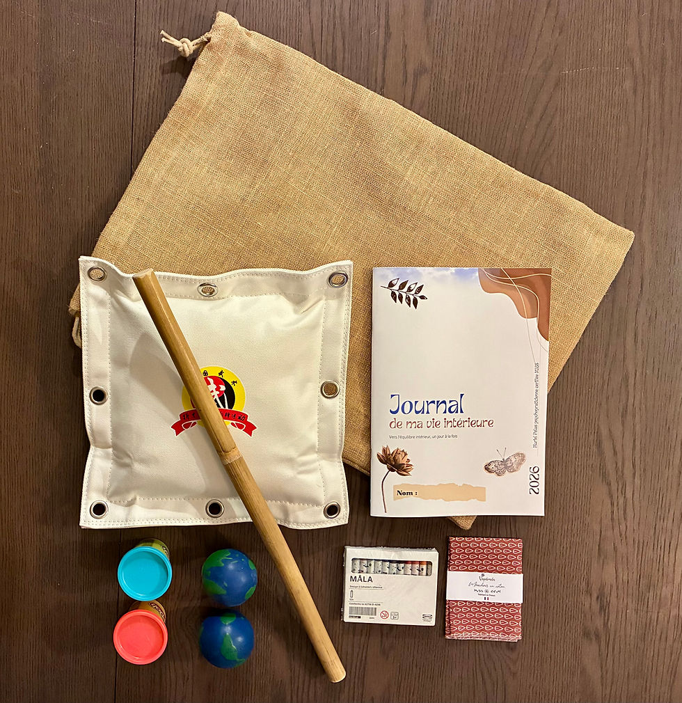 La Trousse thérapeutqiue de Muriel Pélas thérapeute à Nantes, visio, domicile et cabinet