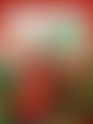 storie successo serramentista passaparola margini duplicati 2026