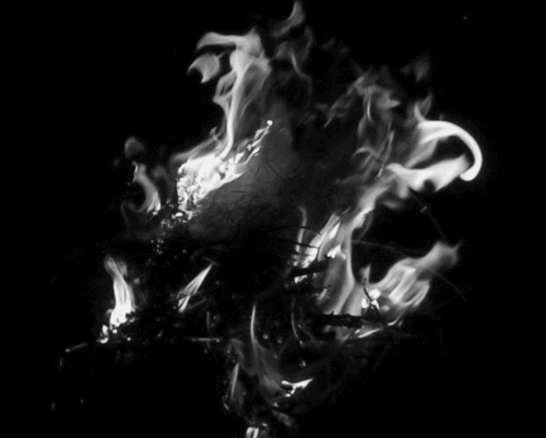 tumblr_mn3hhdxbIF1spnrtto1_500.gif