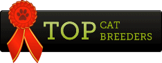 Top Cat Breeders