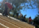 484920113_688505196846232_6306376838038500823_n_edited.jpg