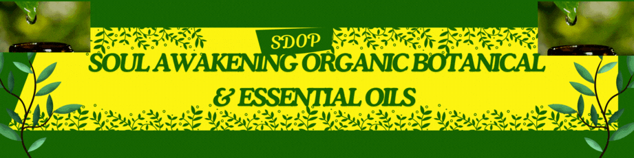 Green Yellow Floral Biology Classroom Banner (2).gif