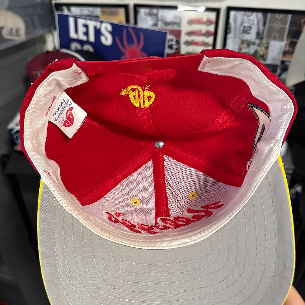 Thumbnail: Kellogg’s Corn Flakes Racing Twill SnapBack  Terry Labonte 