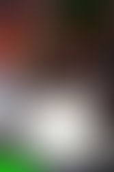 Why Ellen Tea Is Becoming Kenya’s Preferred Everyday Tea Brand