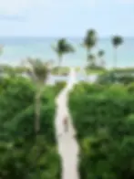 WALKWAY_2063-v2.webp