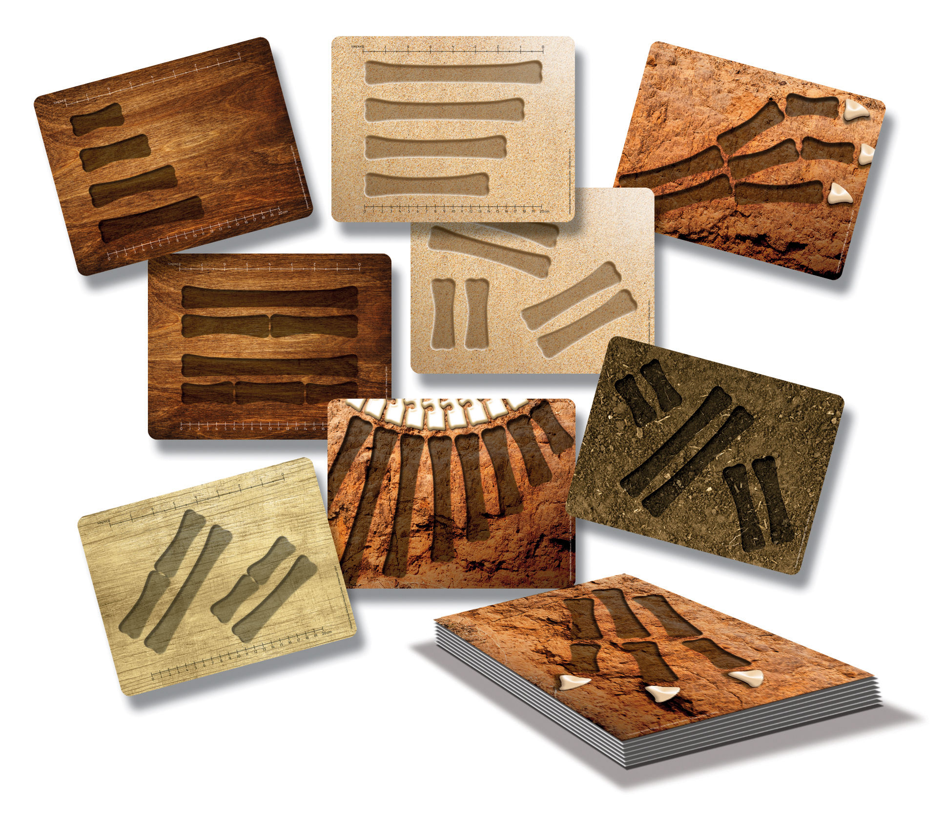 Aktivitätskarten für Dino Knochen