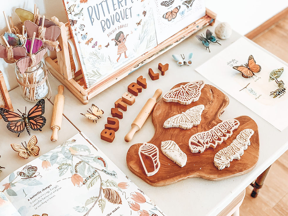 Miniaturbild: Eco Cutter Set - Schmetterling Life Cycle