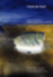 L'écrin de l'écrit