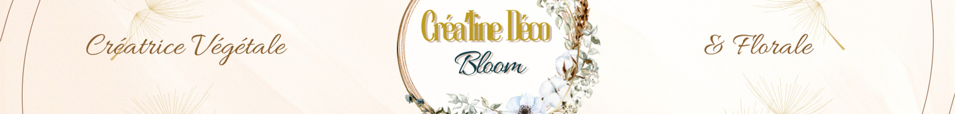 bandeau façade boutique St jean du falga_edited.jpg