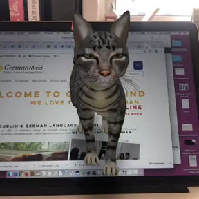Virtual German classes at GermanMind! See you online!