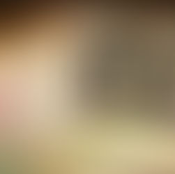 Why Now Is the Perfect Time to Learn German – Opportunities for Career, Travel and Culture