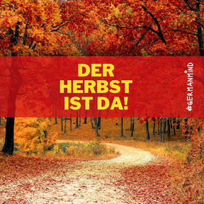 Der Herbst ist da! 5 things to do in Germany in autumn.
