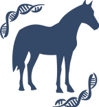 Pouliniere avec adn grise.png