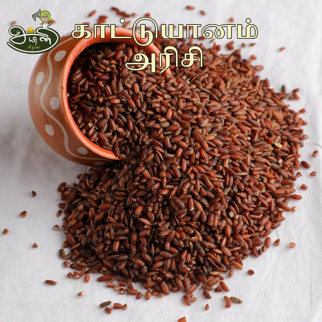 Kattuyanam Rice