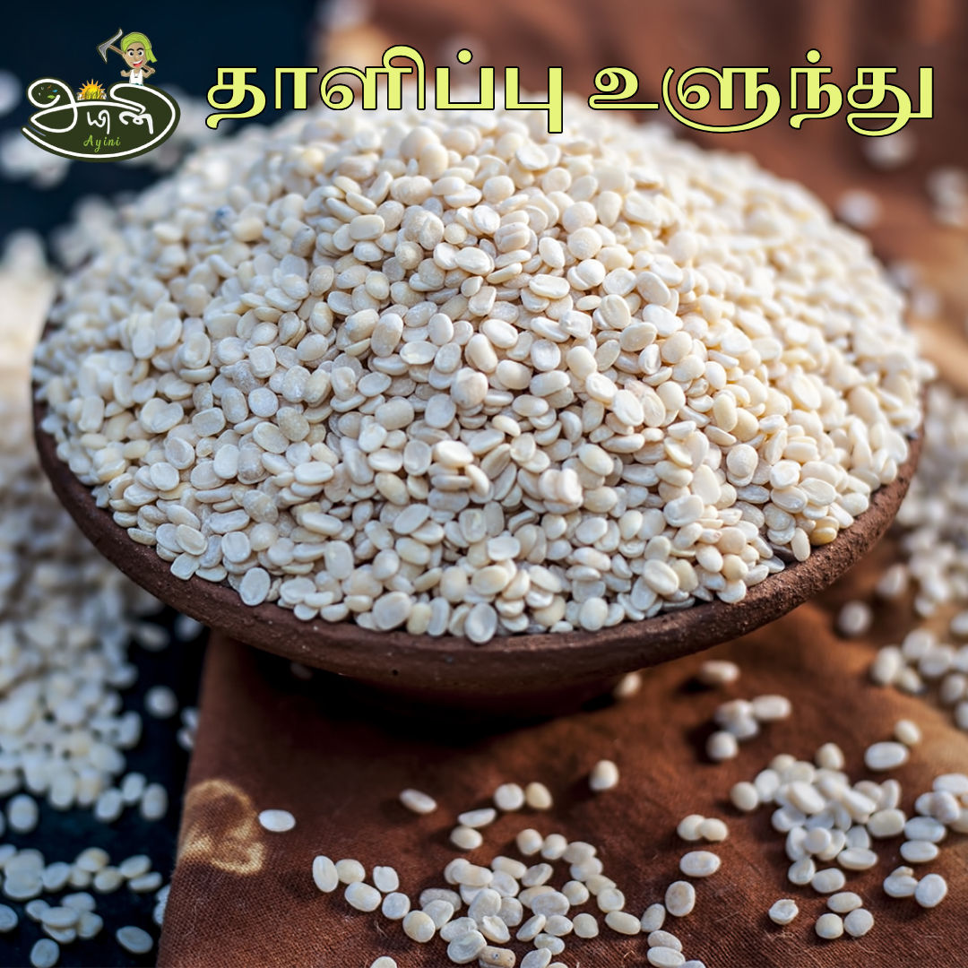 Urad Dal (Splitted) / Thalippu Ulundhu 250gm