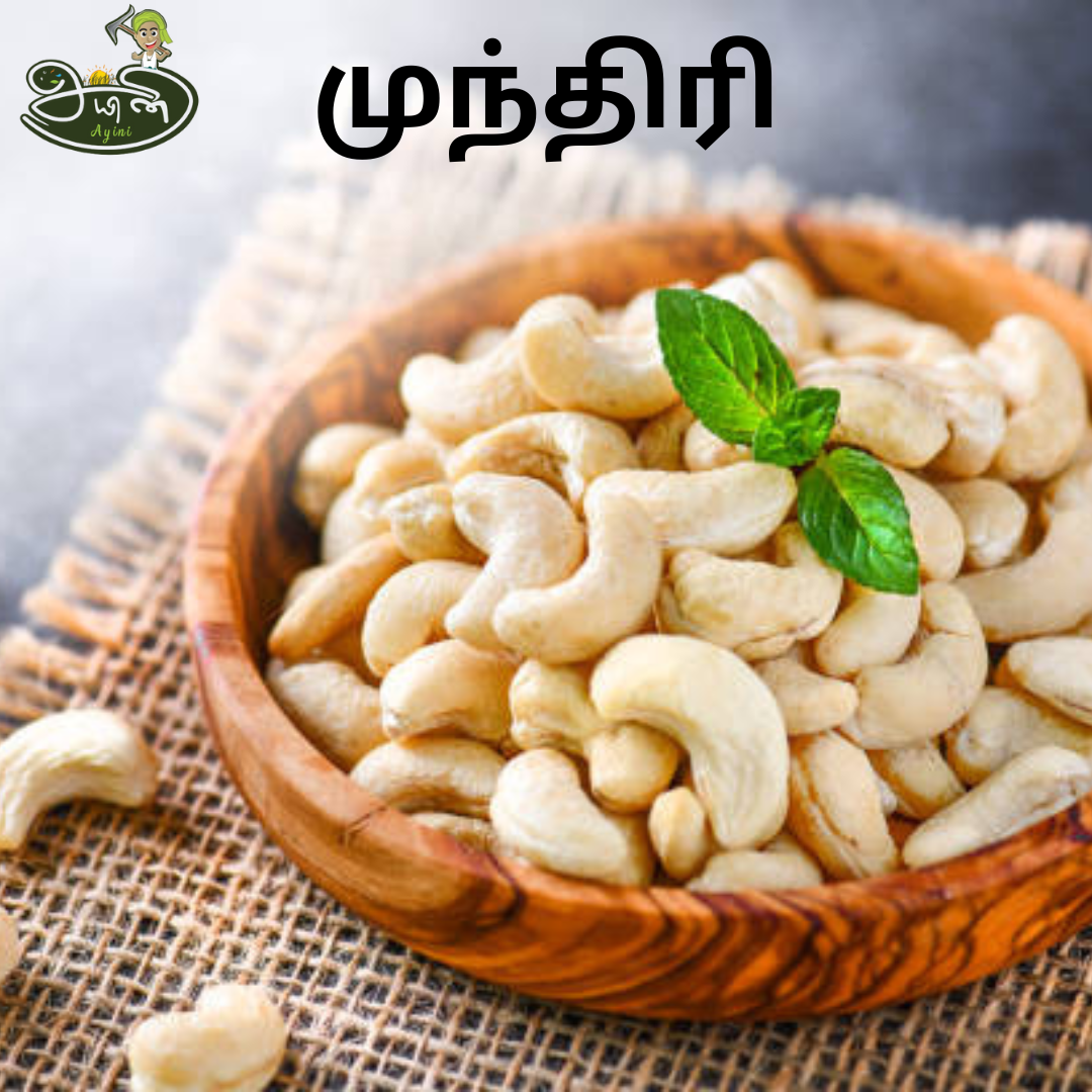 Cashew Nuts / Munthiri