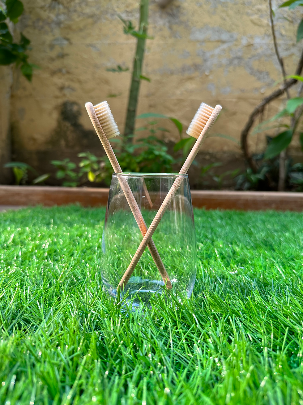 GreenSmile Toothbrush (Set of 25)