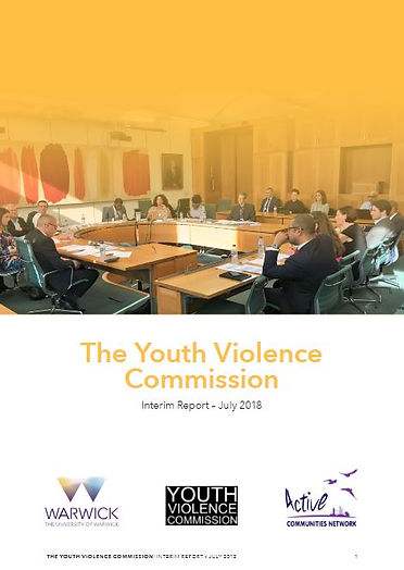 Interim Report Front Cover.JPG