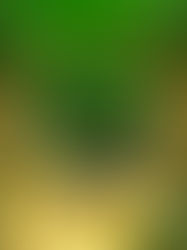 The Industry behind Sustainable Fashion Disruption