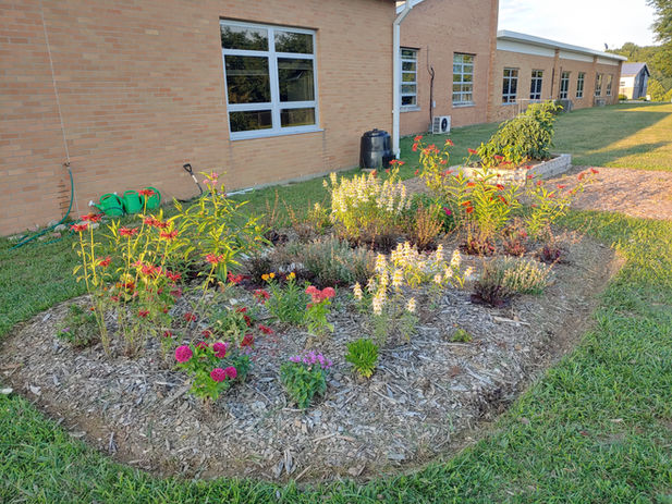 School Pollinator Garden