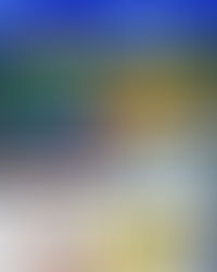 Football trip to Los Angeles 🇺🇸 2 - 9 July 2018