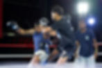 BOXE 1.jpg