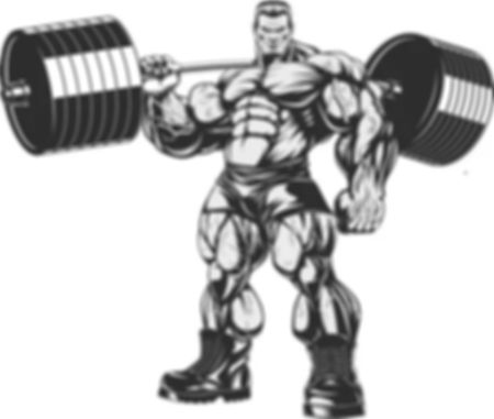 muscu.jpg