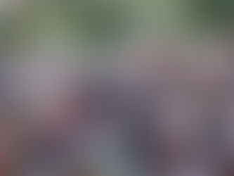 NAACP branches come together to present agenda on transforming law enforcement