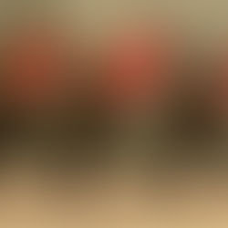 The People's Republic of China Celebrates 70th Birthday