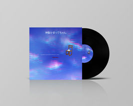 Disco de Vinilo