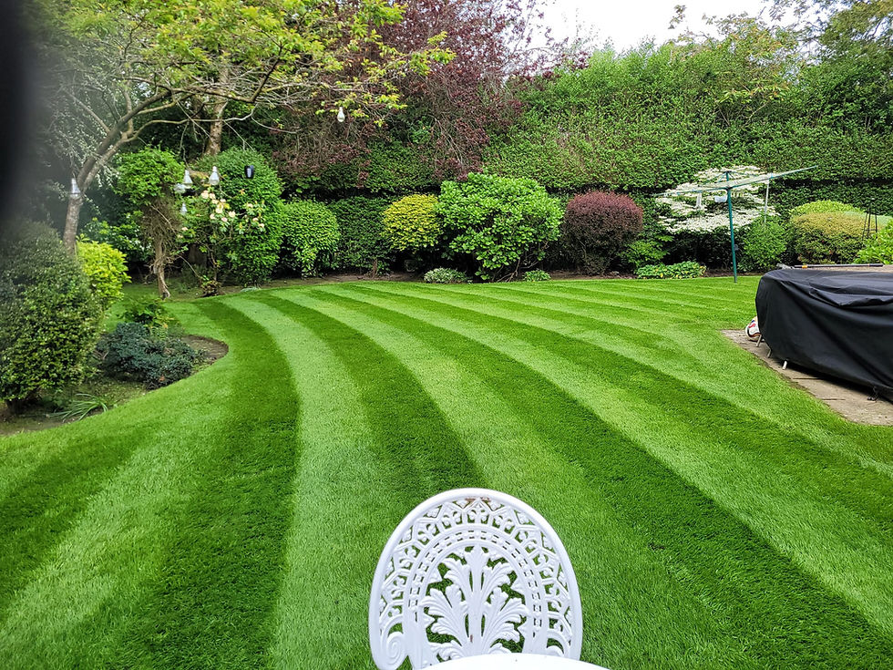 Manicured lawn with landscaping projects Stockport stripes.