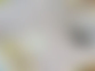 3年目の申告。そしてもくもくと②。