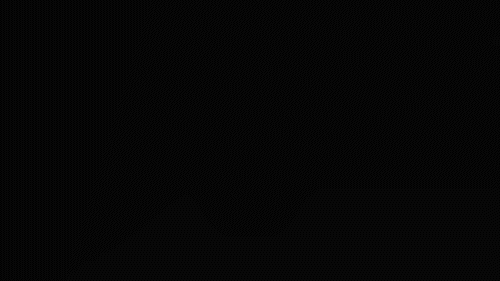4.gif